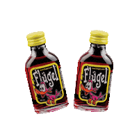 Party Friends Sticker by FLS Company Nederland N.V.