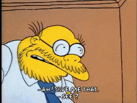 Season 1 GIF by The Simpsons
