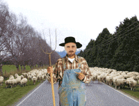 boostly boostly marksimpson #bookdirect GIF