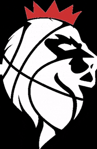 swishhonolulu swish swish honolulu swish basketball GIF