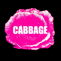 Cabbagepatchbakery  GIF
