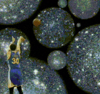 Steph Curry GIF