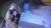 Skate Skateboard GIF by Greenplace TV