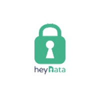 heydata data safe security lock Sticker