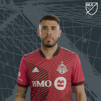Toronto Fc Football GIF by Major League Soccer