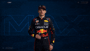 Ver Red Bull GIF by Oracle Red Bull Racing