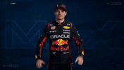 Ver Red Bull GIF by Oracle Red Bull Racing