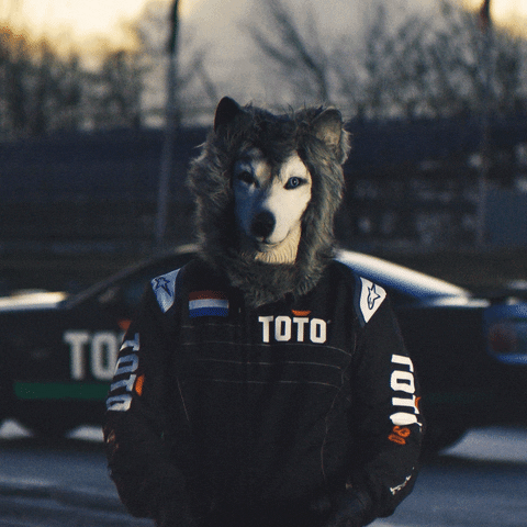 Formula 1 Reaction GIF by Toto
