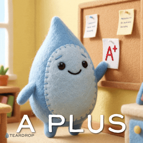 Proud A Plus GIF by Teardrop