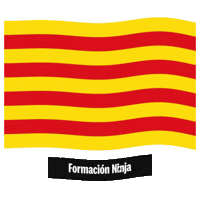 Cat Flag Sticker by Formación Ninja