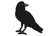 Halloween Crow Sticker
