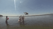 topshelf records prawn GIF