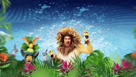 Madagascar GIF by Selladoor