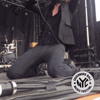 father john misty governors ball GIF by GOVBALL NYC