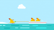 happy water skiing GIF by Hey Duggee