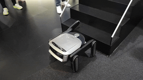 sozinet giphyupload GIF
