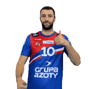 Handball Pgnigsuperliga Sticker by KS Azoty-Puławy S.A.
