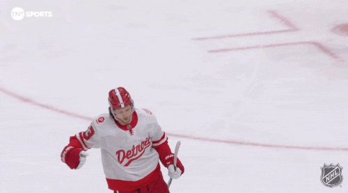 Happy Red Wings GIF by NHL