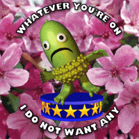 Acorn Tripping GIF