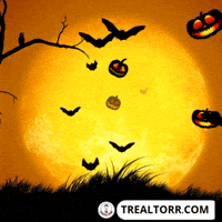 Real Estate Home GIF by Trealtorr