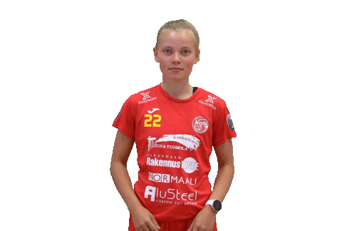 Floorball Salibandy Sticker by F-liiga