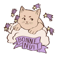 fraisiest good night goodnight chat bonne nuit Sticker