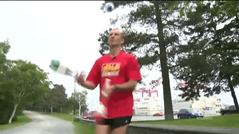 tulsimo giphygifmaker GIF