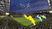 Soccer Stadium GIF by Nashville SC