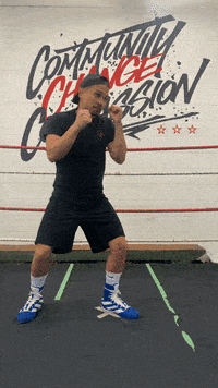 quinitboxing  GIF