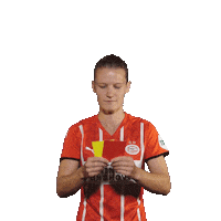 Football Sport Sticker by PSV