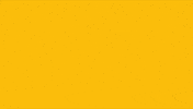 Uos GIF by University of Suffolk