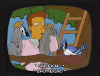 season 10 episode 3 GIF