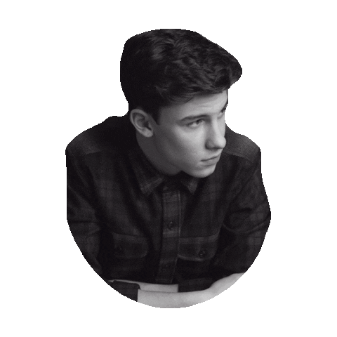 shawn mendes STICKER by imoji