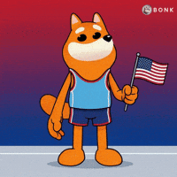 American Flag Sprinting GIF by BONK