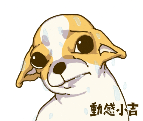 Animation Dog GIF