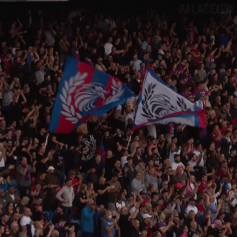 Premier League Fans GIF by CPFC