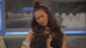 cat stroke GIF by Big Brother UK