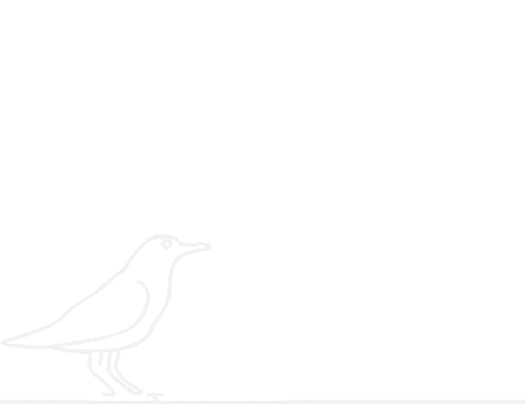 Bird 2D Sticker by UFSCSustentavel