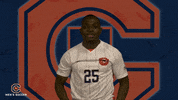 Cnms21 GIF by Carson-Newman Athletics