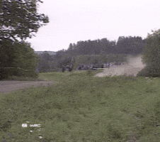 Off Road Exit GIF by FIA World Rally Championship