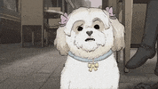 season 1 cats GIF by Animals