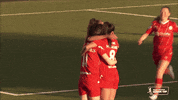 Team Spirit Celebration GIF by Cliftonville Football Club