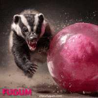 Honey Badger Vibe GIF by Fugum