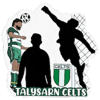 Celts Bishbashbosh Sticker