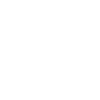 Lettering Line Sticker