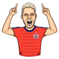 FCSKA football up top swipe Sticker