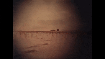 Video Art Loop GIF
