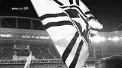GIF by Botafogo