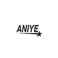 Aniyelogo Sticker by Aniye By