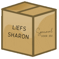 Pakketje Sticker by Liefs Sharon